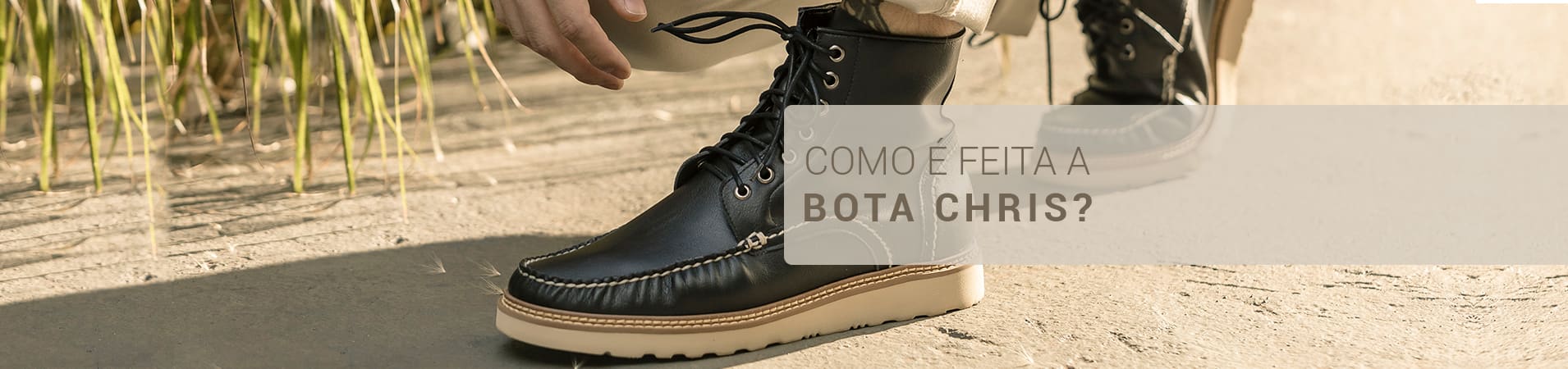 Conheçendo a Ahimsa